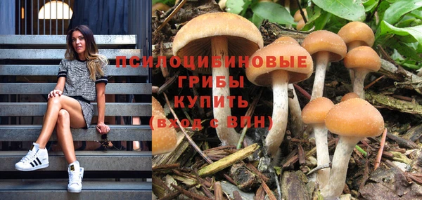 гидра Лагань