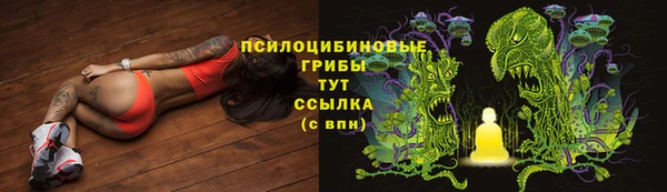 гидра Лагань