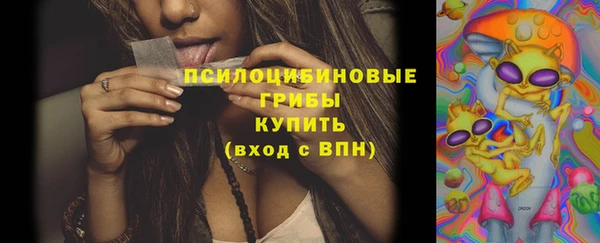 МДПВ Ладушкин