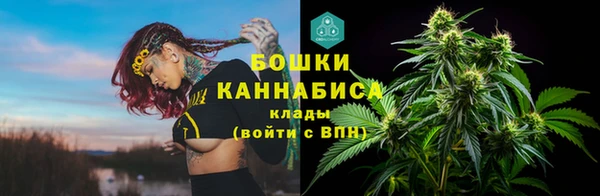 гидра Лагань