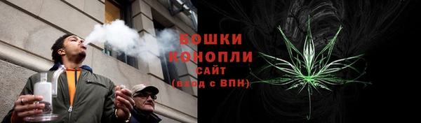 гидра Лагань