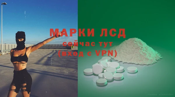 ECSTASY Бородино