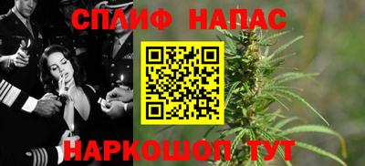 молекула духа Берёзовский