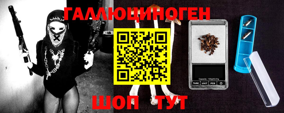 Чита  Галлюциногенные грибы Psilocybe  Вход с VPN 