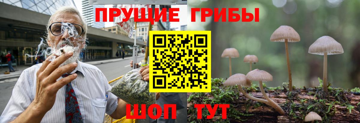 Псилоцибиновые грибы Magic Shrooms Чита